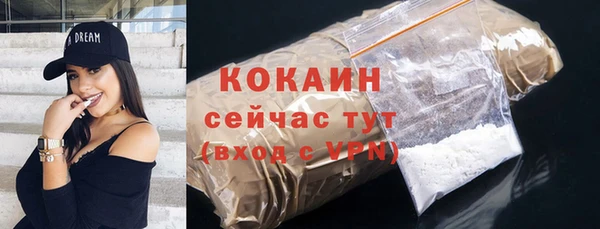 гашик Коряжма