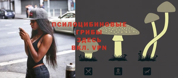 гашик Коряжма
