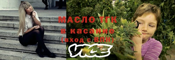 гашик Коряжма