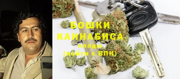 гашик Коряжма