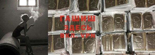 гашик Коряжма