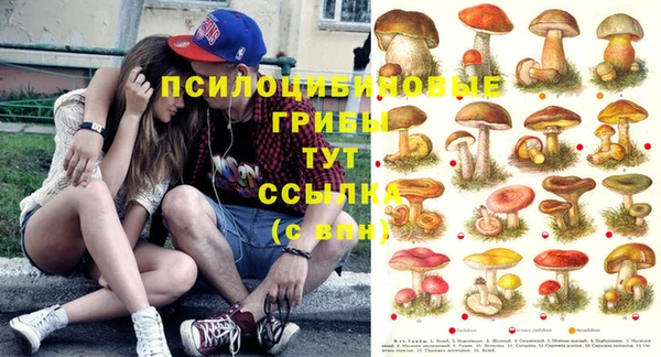 соль ск Бикин