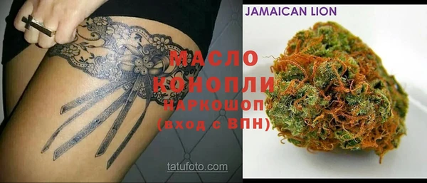 гашик Коряжма